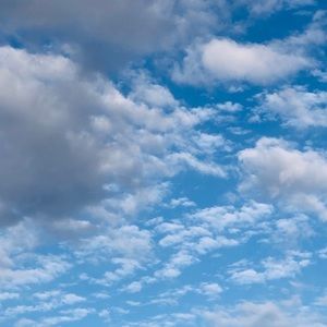 Meet your Posher, Kadyn